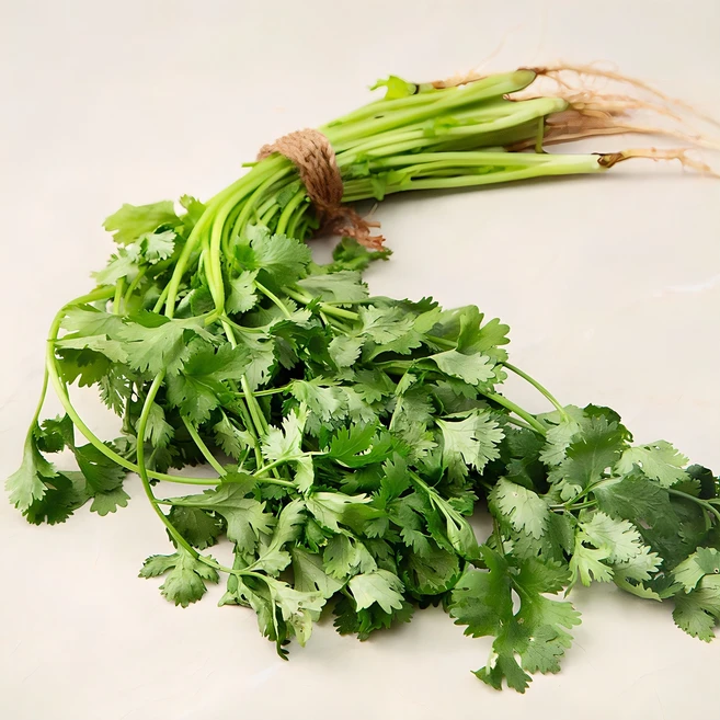 국내산 고수, 100g, 1개 - 쿠팡