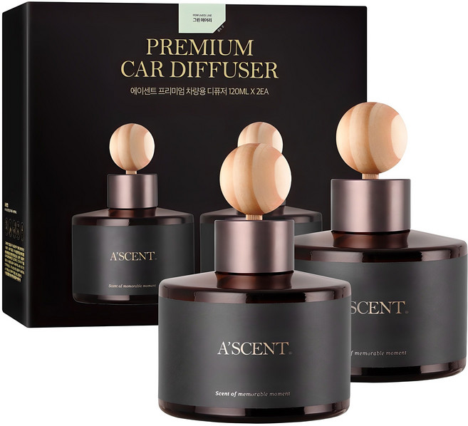 에이센트 차량용 디퓨저 세트, 그린에어리, 2개