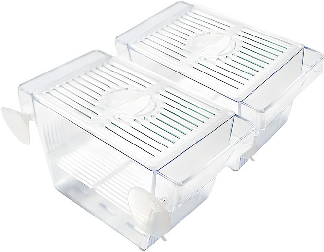 아마존 미니 부화통, 2개