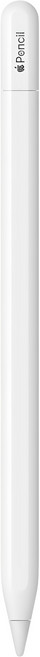 Apple 애플펜슬 USB-C MUWA3KH/A, 1개