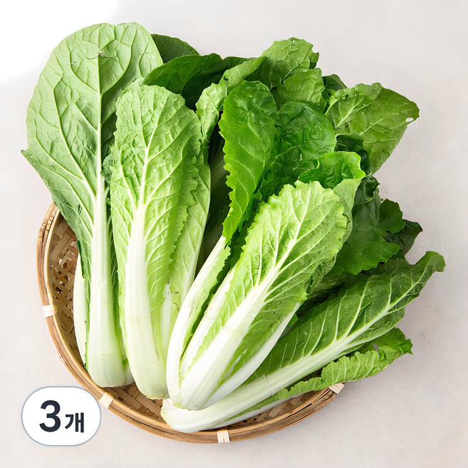 국내산 얼갈이, 800g, 3개