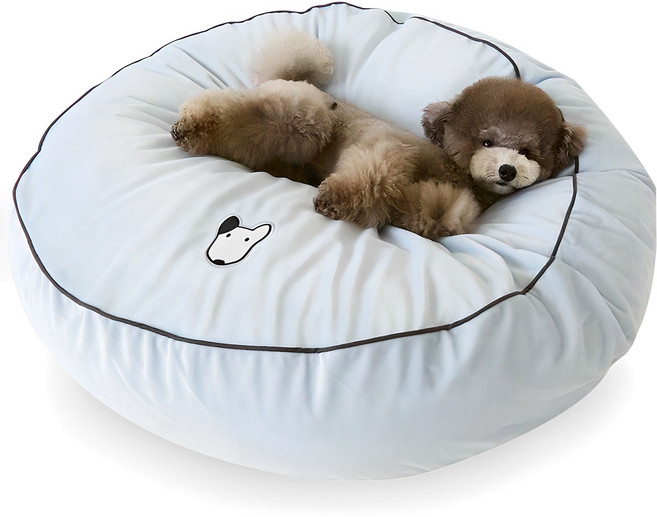 데코원 원스 극세사 강아지 방석 솜포함, 블루, 1개