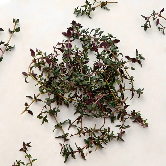 국내산 타임, 10g, 1개 - 쿠팡