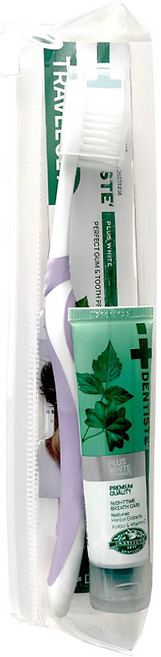 덴티스테 여행용 치약 + 칫솔 세트, 20g, 1세트