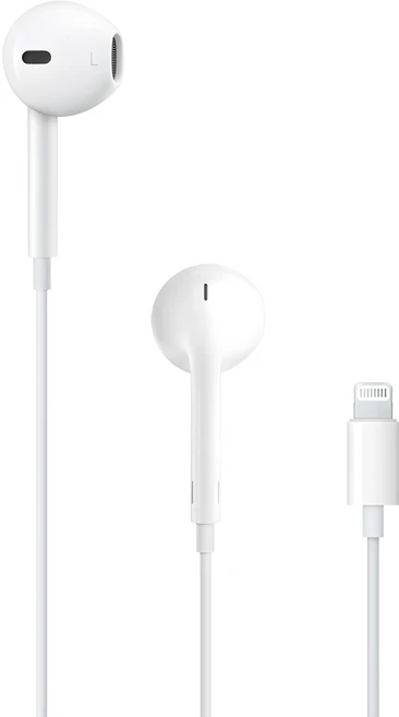 Apple 정품 라이트닝 이어팟, MWTY3ZP/A - 쿠팡