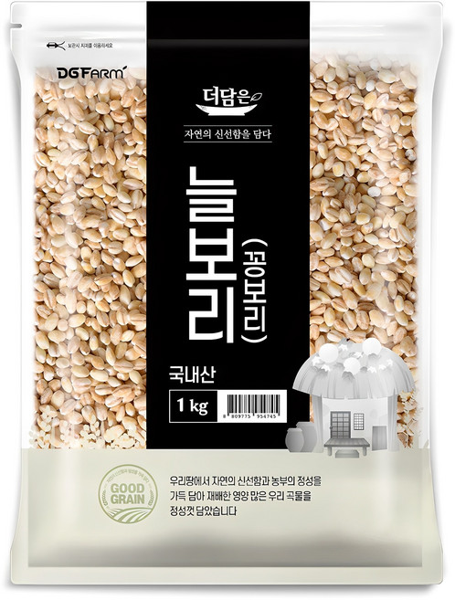 더담은 국산 늘보리 꽁보리, 1kg, 1개