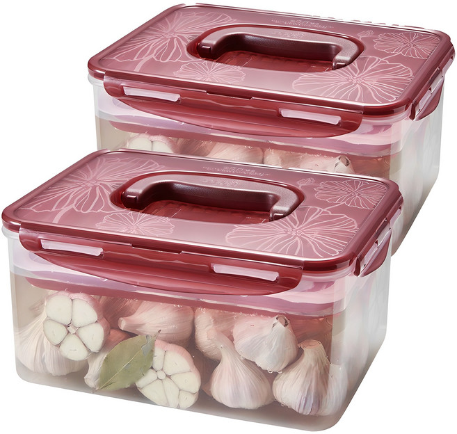 락앤락 발효숙성용기 원핸들, 4.5L, 2개