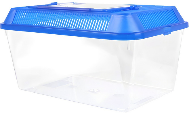 와이피 곤충 채집통 2XL, 랜덤발송(뚜껑), 1개