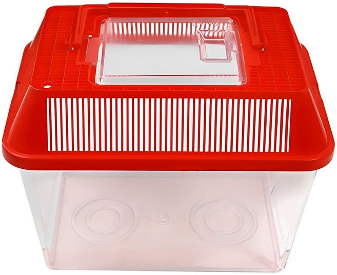 대일 채집통 중, 레드, 1개