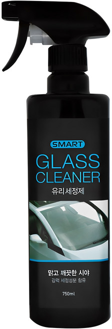 카렉스 스마트 유리세정제, 750ml, 1개