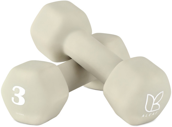 아리프 네오프렌 선인장 아령, 3kg, 2개