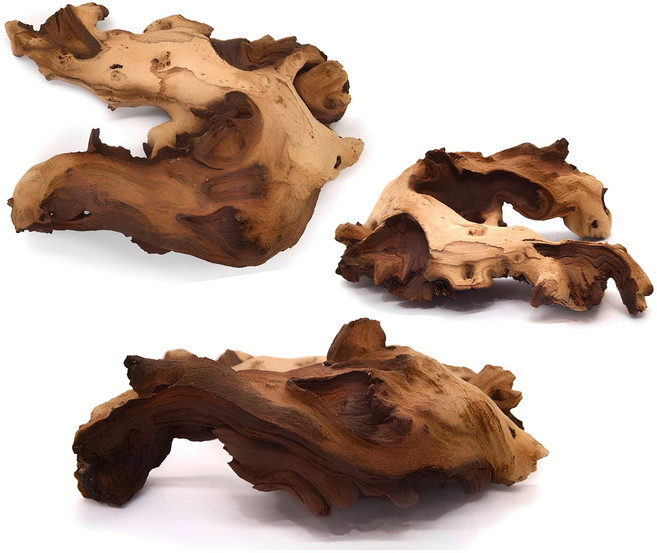 세틀 프리미엄 모파니 투톤 유목 수조장식 랜덤발송, 3개