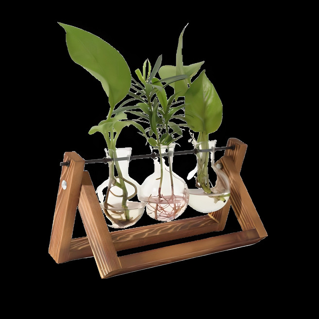 Milda 實木室內水植玻璃花瓶, 1組