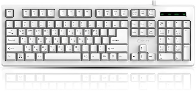 큐센 USB 멤브레인 유선 일반형 키보드 + 키스킨, 화이트, SEM-DT45 Plus