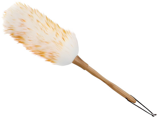 네이쳐리빙 양모 먼지털이개 M, 혼합색상, 1개