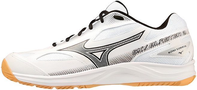 미즈노 스카이 블라스터 인도어화