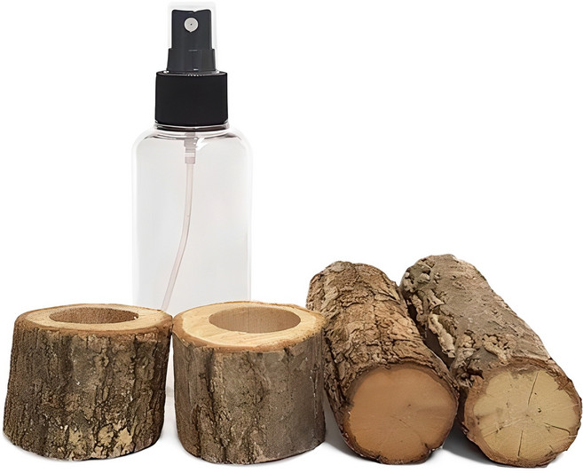 벅스킹덤 알뜰형 곤충용품 종합세트, 랜덤 발송, 1세트