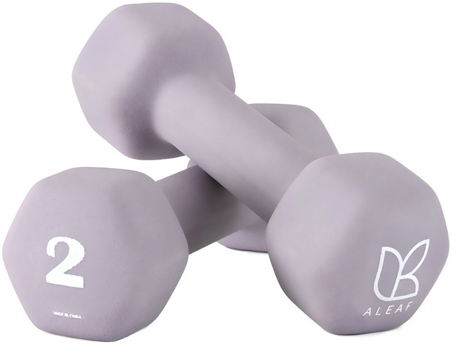 아리프 네오프렌 선인장 아령, 2kg, 2개