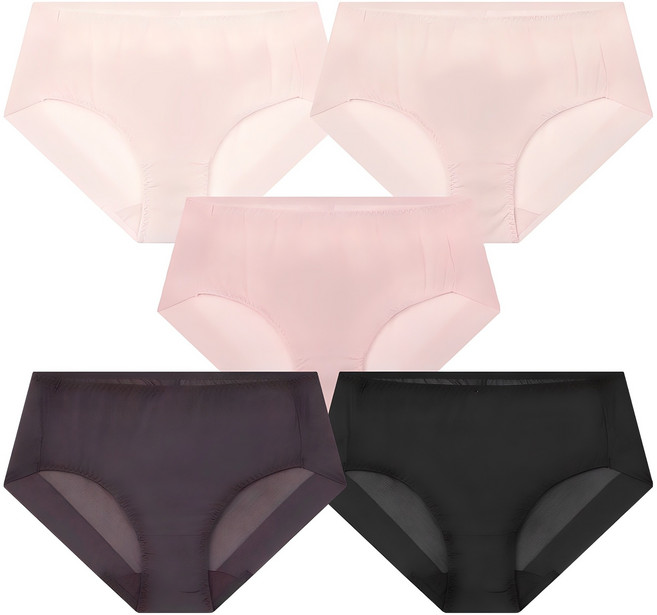 플로린 여성용 노라인 햄팬티 5p 세트 CWP-001