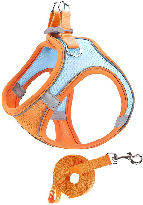 Pai 굿타임 하네스 + 리드줄 세트, 블루오렌지, 1세트