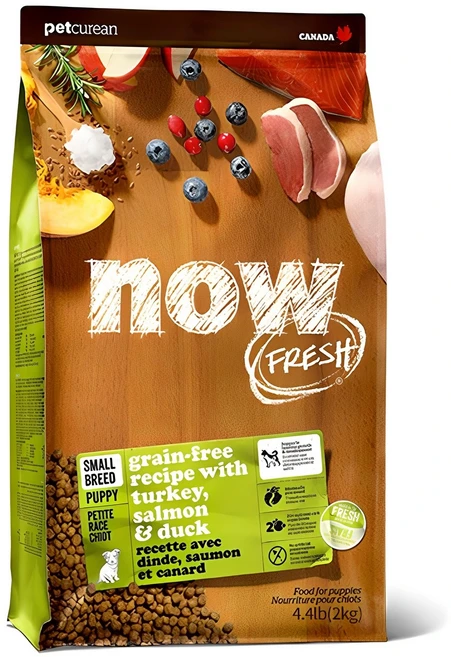 now 퍼피 그레인프리 스몰브리드 건식사료, 칠면조, 2kg, 1개 - 쿠팡