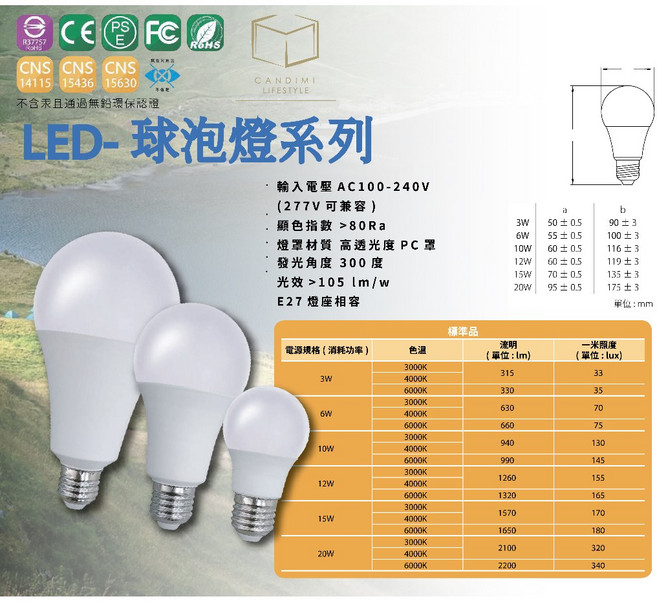 LED燈泡, Cool White (6000-6500K)