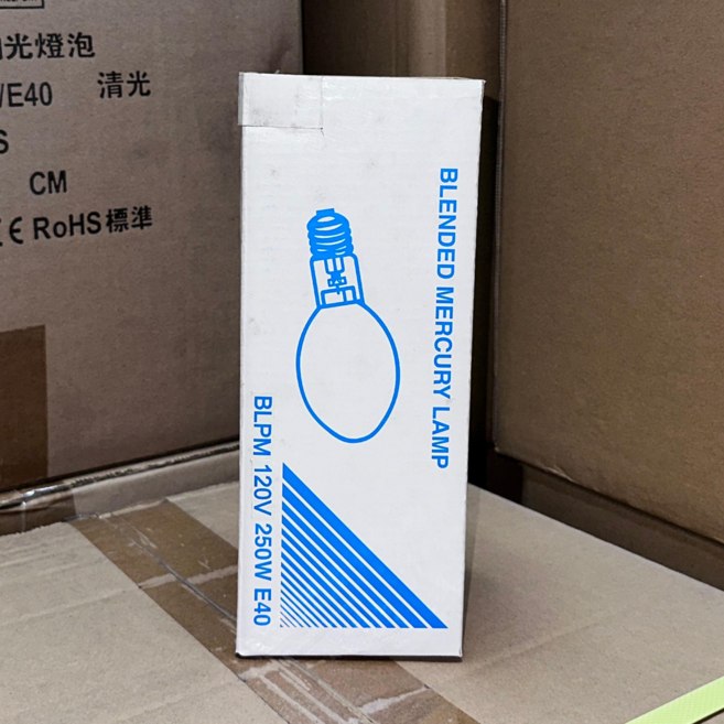 JINKA 水銀燈泡 110V 250W E40, 白色的, 1個