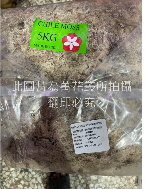 萬花叢 資材 水苔 5KG 智利進口 上板 觀葉植物 種植鹿角蕨, 1個
