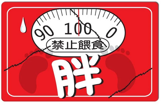 貼貼王國 禁止餵食-紅胖 悠遊卡貼紙, 紅, 1個