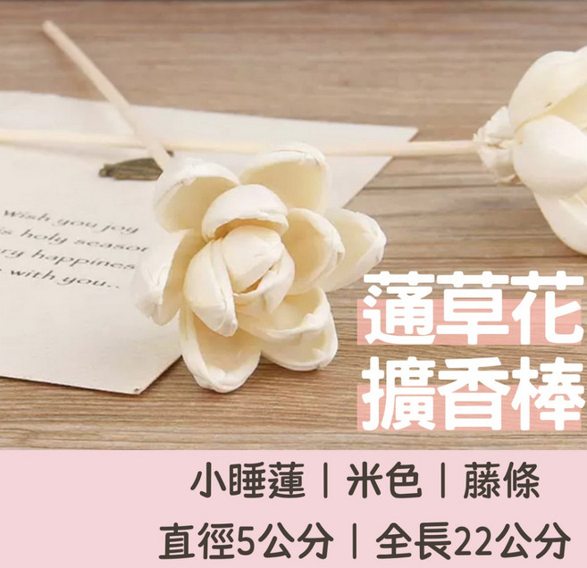 擴香花棒 蓪草花 小睡蓮造型 擴香纖維棒, 米色, 1個, 1個裝