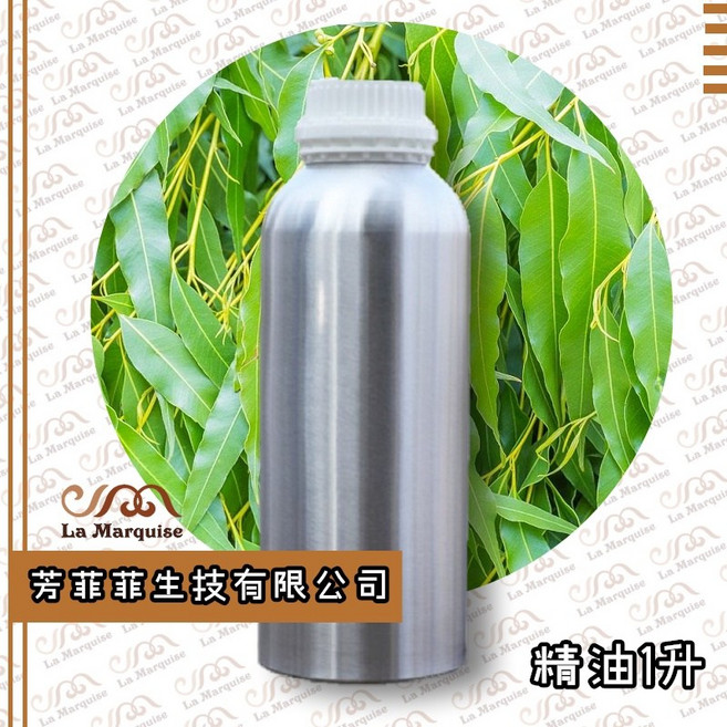 芳菲菲生技 澳洲尤加利單方精油 1公升瓶裝 純淨蒸餾萃取, 1個, 1L, 尤加利