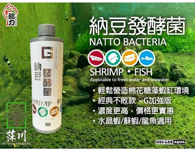莯川 納豆發酵菌 水族硝化菌, 1個, 300ml