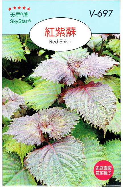 天星牌 紅紫蘇種子