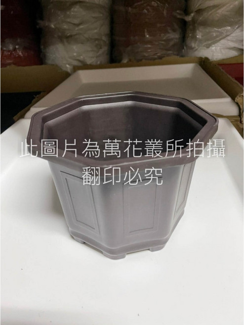 萬花叢 資材 六角盆 咖啡色 PP聚丙烯材質 花盆 盆栽, 1個