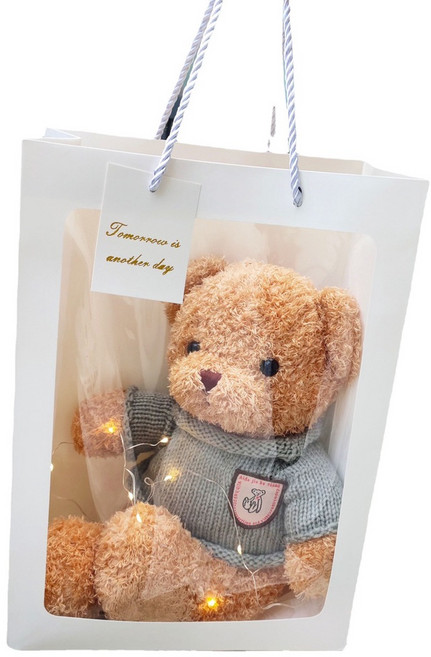 GIFTME5 禮物熊 絨毛娃娃 附燈禮物袋 畢業生日紀念禮物 咖啡色 30公分, 1個, 30cm