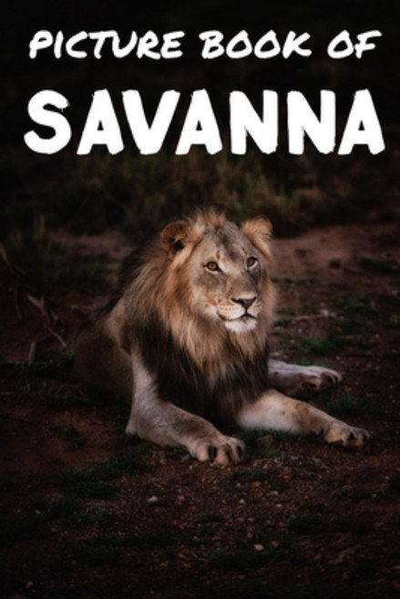 Picture book of Savanna: Photos of Savanna animals - Picture book for kids and more - Picture book f... 平裝版, Independently Published, 英語