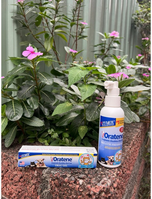 Oratene 白樂汀 三酵合一口腔軟膏, 口腔軟膏 28g, 28g