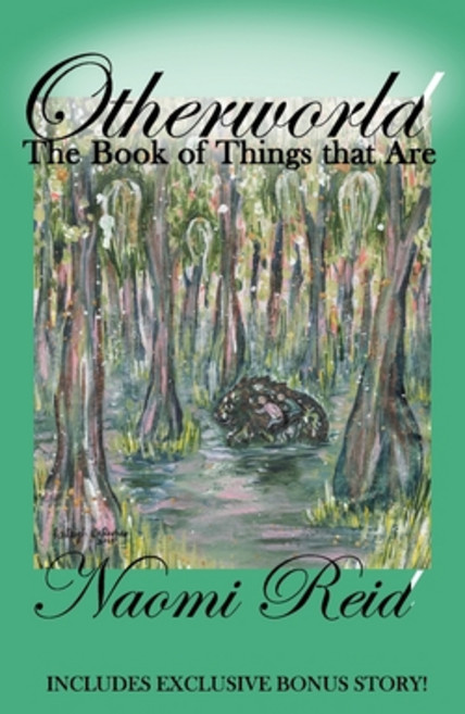 Otherworld: : The Book of Things That Are 平裝版, Bide Ahwee Publishing and M..., 英文