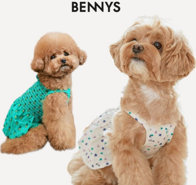 BENNYS 寵物洋裝 韓國風格 狗狗裙子 小型犬服飾 兩色可選, 白色,XL