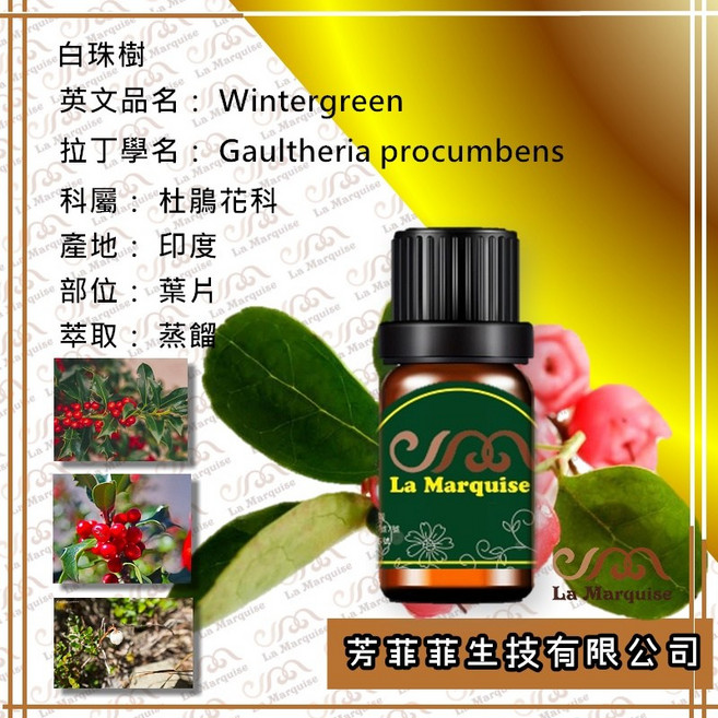 白株樹(冬青)單方純植物精油-芳療薰香保養手工皂適用