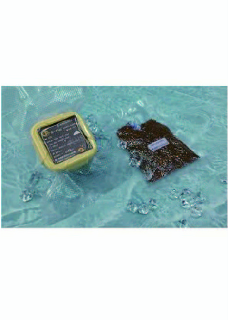 鬥魚專屬-灩達人Plus 鬥魚專用飼料, 35g, 1個