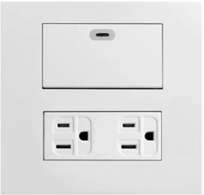 熊貓系列 JY-4155W 螢光一開一雙接地開關插座 (110V) - BSMI認證 安全節能, 白色