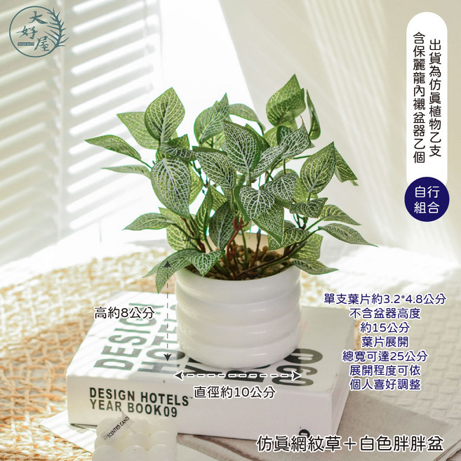 大好屋仿真觀葉植物盆栽組 迷你盆景 桌面裝飾 療癒小物, 白色, 1個