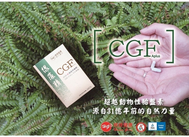 核綠旺 CGF綠藻精膠囊3盒優惠組-CGF核酸植物營養素 SOD酵素 綠藻多醣體 胺基酸 多種維生素 礦物質