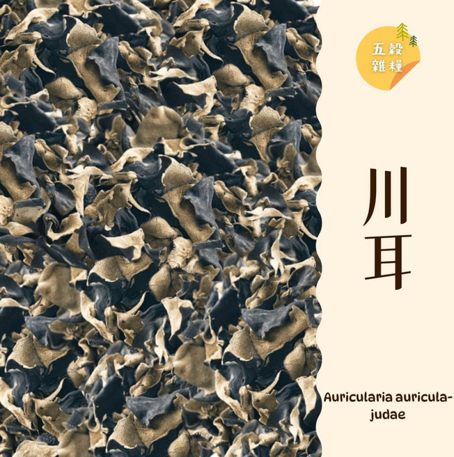 五穀雜糧 川耳, 1, 300g