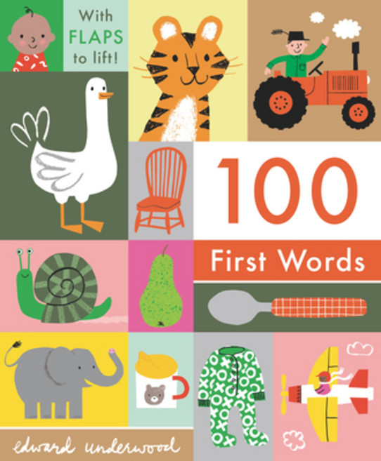 (英文圖書) 100 First Words Board Books, Nosy Crow, 英文, 硬頁書