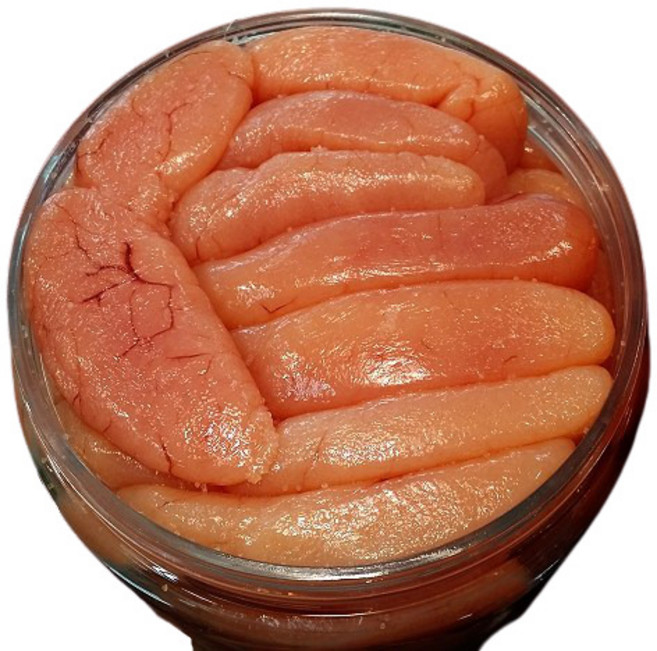 토굴 안애 광천 양념 젓갈 백명란젓 300g~ 1kg, 500g, 1개