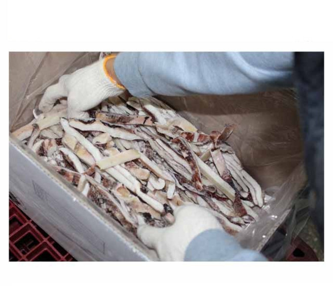 손질오징어 4kg 국내가공 생물 선동 원양산 오징어채, 1박스, 옵션1. 국내가공 중국산오징어채 4kg