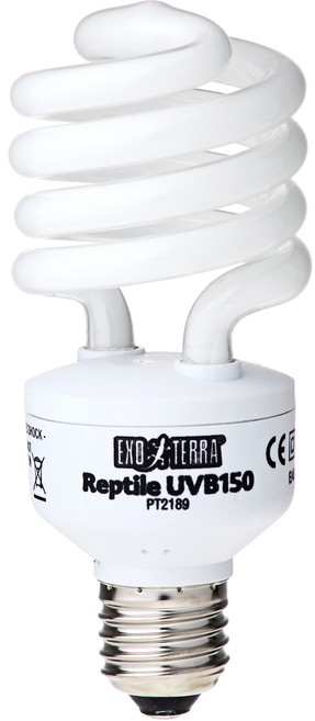 하겐 엑소테라 파충류 150 UVB 램프 (사막), (사막) 25W, 1개