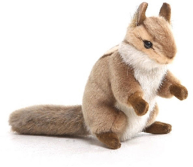 한사토이 다람쥐 봉제인형, 15cm, 혼합색상, 1개